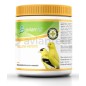 Yellow Hepatic Avianvet