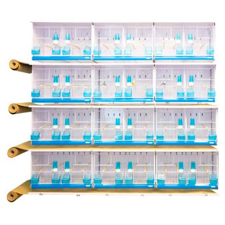 12 jaulas New Canariz Mod Evolution 2800