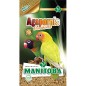 Agapornis Parakeets Manitoba