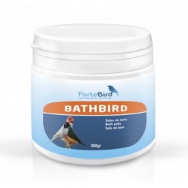 Bathbird - Fortebird