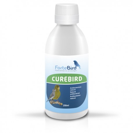 Curebird - Fortebird Curebird - Fortebird