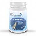 Probird - Fortebird