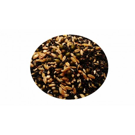 Mixtura Germinación Dival (con nabina)