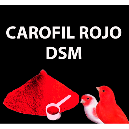 Carofil Rojo - DSM