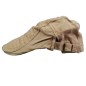 Gorra Campera Lisa