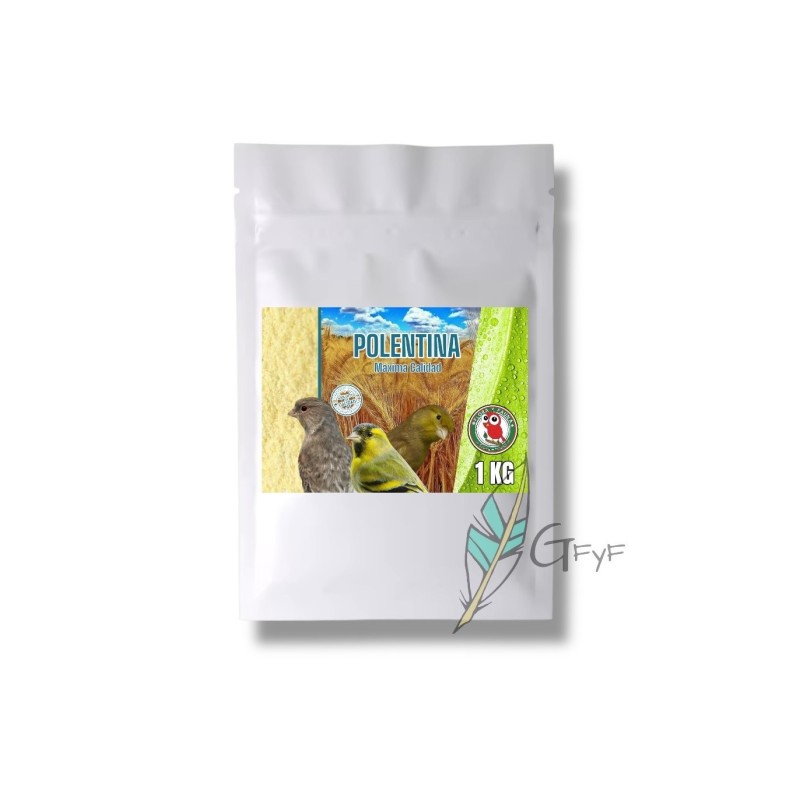 Polentina
