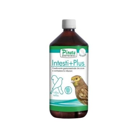 Intesti+Plus