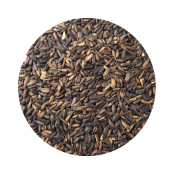 Pipa Micro - Pet CUP