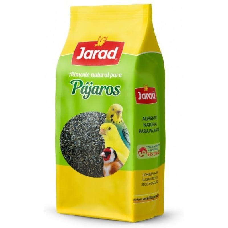 Negrillo - Jarad