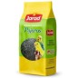 Negrillo - Jarad