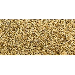 Mixtura Premifood Diamante Gould